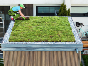 A-1 Roofing, the best roofing contractor in Bettendorf, offers innovative green roofing solutions.